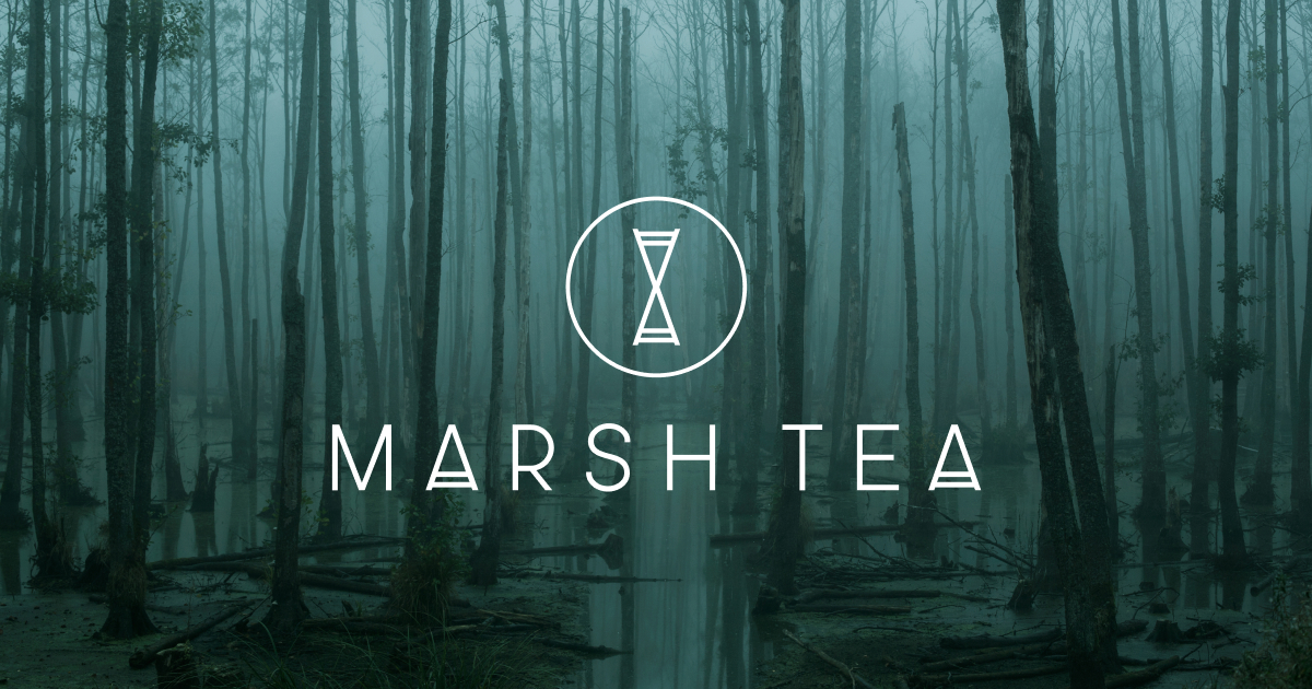 Marsh Tea // The official website // Progressive rock trio from Finland